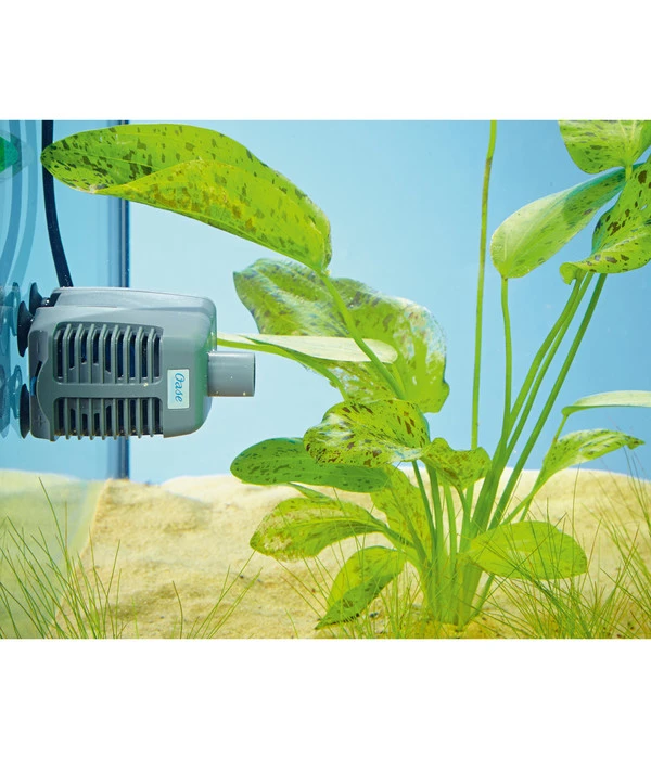 Oase Wasserwechselsystem Aqua In-Out Set 800 â Bild 3