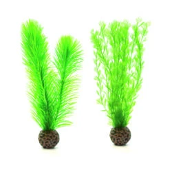 OASE BiOrb Federfarn Set Klein Grün (46083)