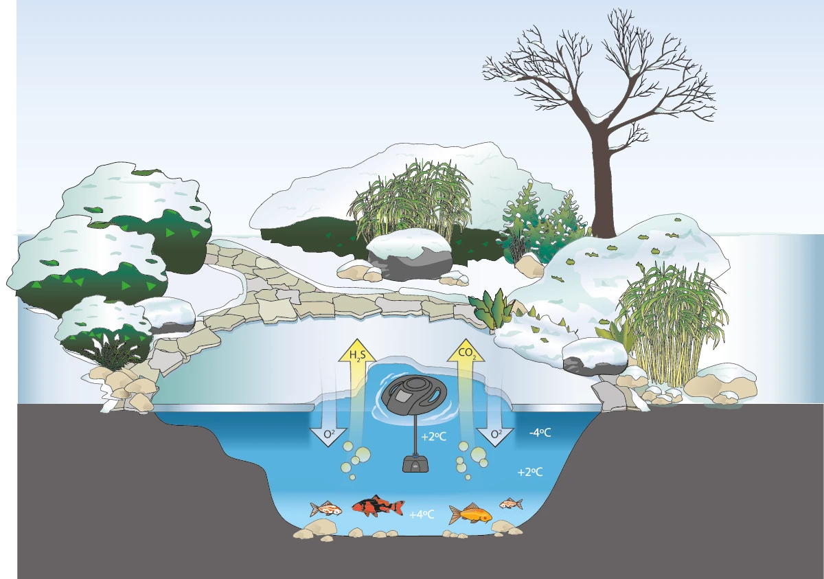 Oase IceFree 4 Seasons B-Ware – Bild 4