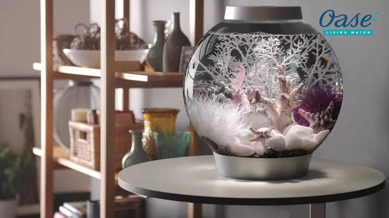 OASE BiOrb Anker Ornament (46139) – Bild 3