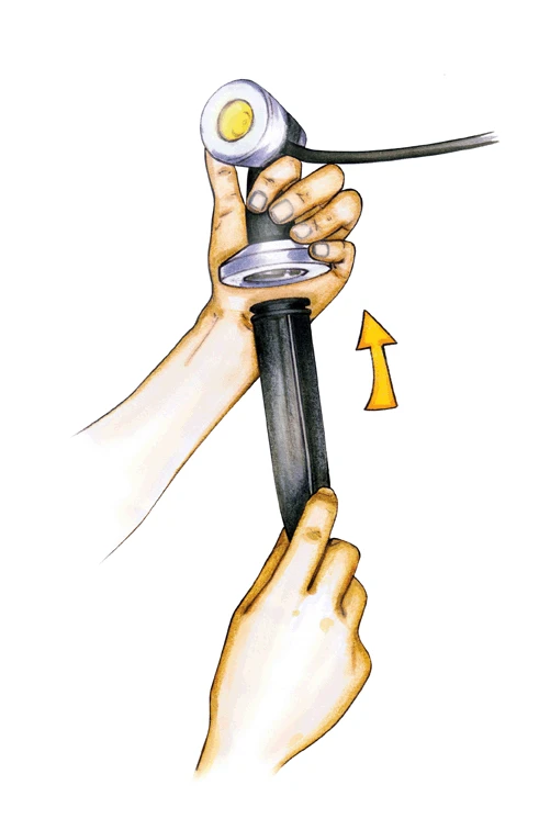 Oase LunAqua Maxi LED Set 1 B-Ware â Bild 4