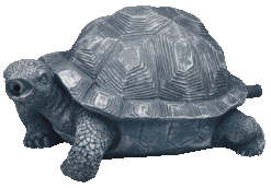 Oase Wasserspeier Schildkröte