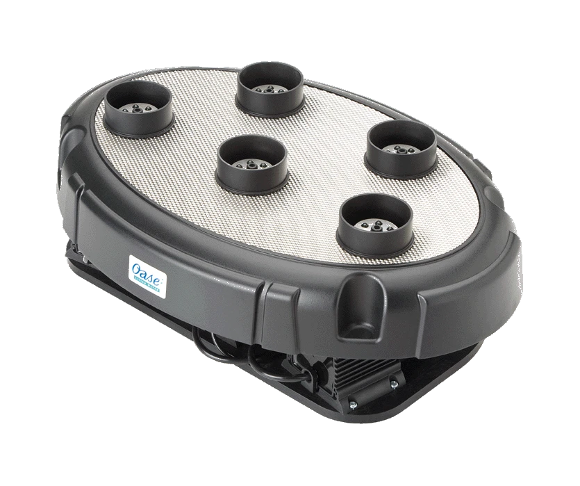 Oase Water Quintet â Bild 6