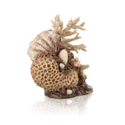 OASE BiOrb Korallen-Muschel Ornament Natural (48360)