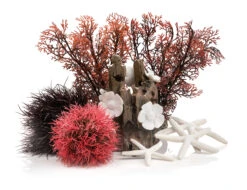 OASE BiOrb Decor Set 15L Red Forest (48442)