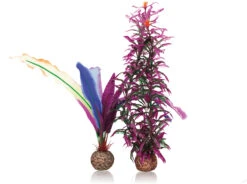 OASE BiOrb Papageienfeder S (55078)