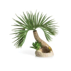 OASE BiOrb Palme Seychellen S (72679)