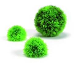 OASE BiOrb Dekogewächsball Set 3 Grün (46060)