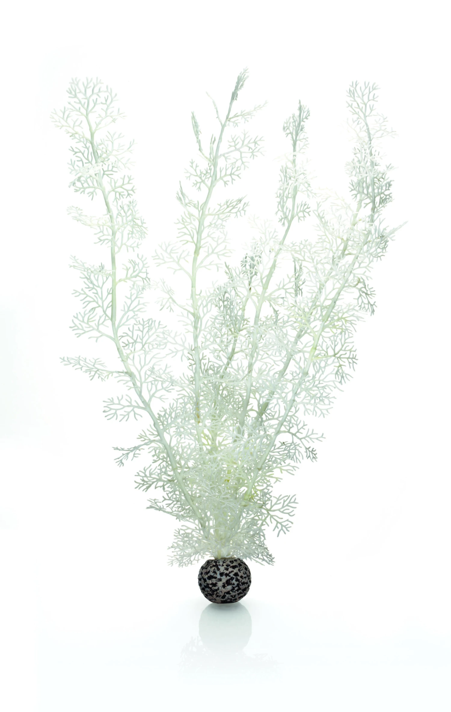 OASE BiOrb Hornkoralle Extra Groß Weiß (46074)