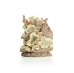 OASE BiOrb Muschel Ornament Klein (46107)