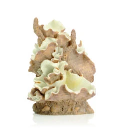 OASE BiOrb Muschel Ornament Mittel (46108)