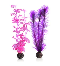 OASE BiOrb Seetang Set Mittelgroß Pink (46082)